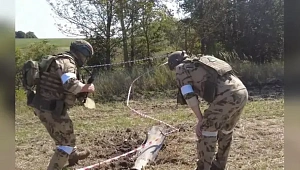 Росгвардия обезвредила неразорвавшийся боеприпас возле Курской АЭС Росгвардия обезвредила неразорвавшийся боеприпас возле Курской АЭС