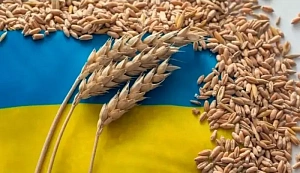 Украина подала в ВТО иски против трёх стран Украина подала в ВТО иски против трёх стран