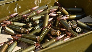 Из России запретили вывозить патроны и гильзы Из России запретили вывозить патроны и гильзы