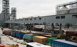 На юге России бастуют до 70% перевозчиков зерна На юге России бастуют до 70% перевозчиков зерна