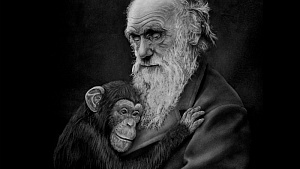 Как homo sapiens в обезьяну превратили Как homo sapiens в обезьяну превратили