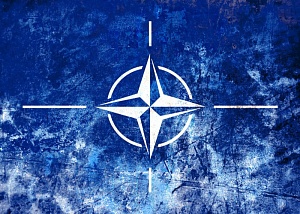 Склоки внутри НАТО усиливаются Склоки внутри НАТО усиливаются