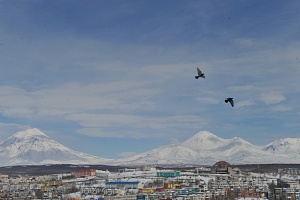 Дальневосточный рывок