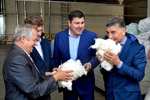 Хлопковое дело Хлопковое дело