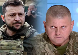 Суета вокруг Залужного Суета вокруг Залужного