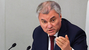 Володин призвал рассмотреть на трибунале признания европейских и украинских политиков 