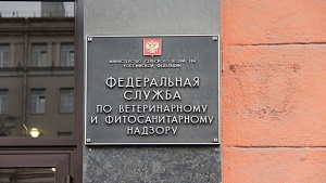 Россия запретила поставки с двух китайских предприятий Россия запретила поставки с двух китайских предприятий