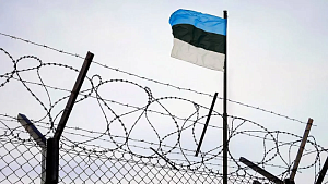 Бизнес по-эстонски Бизнес по-эстонски