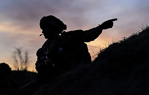 США разместят свои войска в Дании США разместят свои войска в Дании
