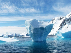 The Guardian: лёд в Арктике растает в ближайшие 10 лет