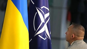 «Нет, их не вразумишь…» «Нет, их не вразумишь…»