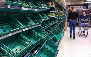 ЕС готовится к продуктовому кризису из-за санкций против России