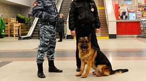 Волна телефонного терроризма докатилась до Москвы