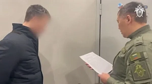 Главный полицейский Выборга получал миллионные взятки от чёрных лесорубов Главный полицейский Выборга получал миллионные взятки от чёрных лесорубов