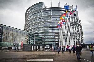 Места в Европарламенте отвоёвывают евроскептики и ультраправые Места в Европарламенте отвоёвывают евроскептики и ультраправые