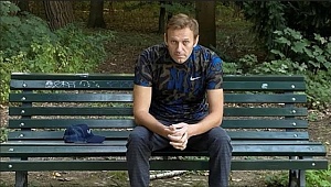 Навальный обвинил Путина в своём «отравлении» Навальный обвинил Путина в своём «отравлении»