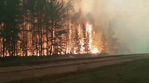 Минприроды РФ: власти Якутии занижают данные о лесных пожарах