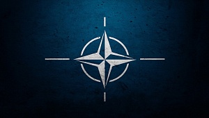 Финляндия приняла официальное решение вступить в НАТО Финляндия приняла официальное решение вступить в НАТО