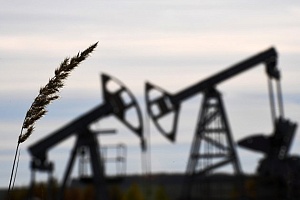 Талибы намерены купить у России миллион баррелей нефти Талибы намерены купить у России миллион баррелей нефти