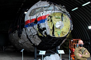 Гаагский суд: MH17 сбил «Бук» со стороны Первомайского Гаагский суд: MH17 сбил «Бук» со стороны Первомайского