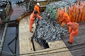 Компании «крабовых королей» передали в собственность государства Компании «крабовых королей» передали в собственность государства