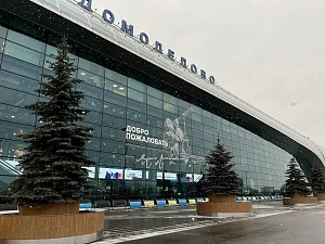 «Домодедово» оказалось под иностранным контролем «Домодедово» оказалось под иностранным контролем