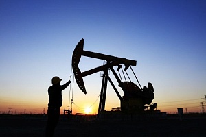 Нефтяные котировки пошли в рост Нефтяные котировки пошли в рост