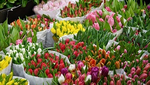 С наступающим 8 марта! С наступающим 8 марта!