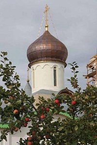 «Средь топи блат стоит обитель…» «Средь топи блат стоит обитель…»