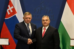 «Крестовый поход» против Брюсселя «Крестовый поход» против Брюсселя
