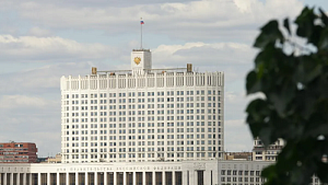 Правительство РФ поддержало законопроекты о запрете пропаганды чайлдфри Правительство РФ поддержало законопроекты о запрете пропаганды чайлдфри