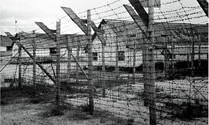 Рассекречены документы о финских лагерях смерти в СССР Рассекречены документы о финских лагерях смерти в СССР