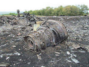Австралия и Нидерланды признали итоги расследования крушения MH17 Австралия и Нидерланды признали итоги расследования крушения MH17