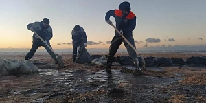 Около 100 тонн мазута собрали на побережье Кубани после ЧП с танкерами Около 100 тонн мазута собрали на побережье Кубани после ЧП с танкерами