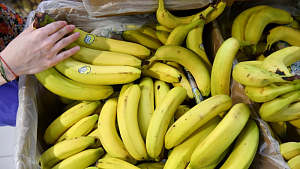 Россельхознадзор запрещает поставки бананов из Эквадора
