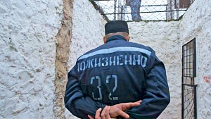 Комитет Госдумы одобрил пожизненный срок за госизмену Комитет Госдумы одобрил пожизненный срок за госизмену