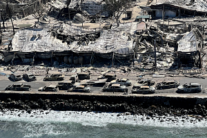 Число жертв лесных пожаров на Гавайях превысило 90 человек