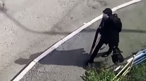 Выстрелы в школе Выстрелы в школе