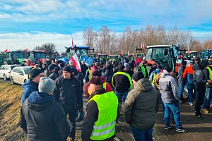 Сельские страдания Сельские страдания