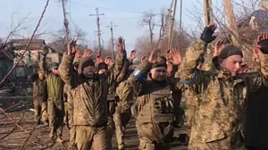 Сдаются, чтобы спастись Сдаются, чтобы спастись