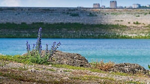 В крымских водохранилищах накоплен рекордный запас воды