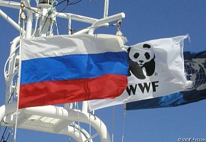 Дума Чукотки готовит обращение о прекращении деятельности WWF в регионе Дума Чукотки готовит обращение о прекращении деятельности WWF в регионе