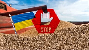Зерно раздора Зерно раздора