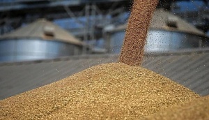 Россия передала Кубе почти 20 тыс. тонн пшеницы