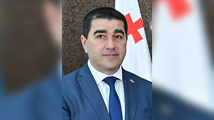 Спикер парламента Грузии подписал закон о запрете ЛГБТ-пропаганды Спикер парламента Грузии подписал закон о запрете ЛГБТ-пропаганды