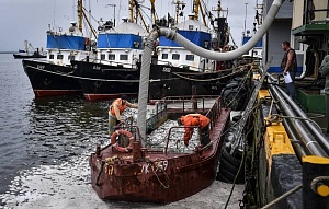 РФ приостановила соглашение с Японией о морском промысле РФ приостановила соглашение с Японией о морском промысле