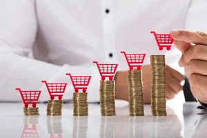 Силуанов: инфляция в 2024 году составит 4,5% Силуанов: инфляция в 2024 году составит 4,5%