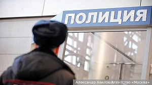 В Подмосковье задержали 27 человек после нападения на полицейских В Подмосковье задержали 27 человек после нападения на полицейских