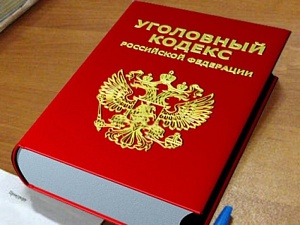 Путин предложил смягчить статью за экстремизм Путин предложил смягчить статью за экстремизм