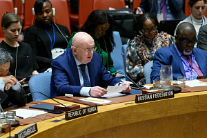 Небензя призвал СБ ООН рассмотреть вопрос санкций против Израиля